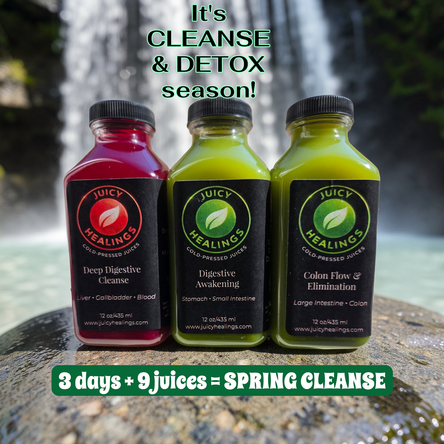 🌿ESSENTIAL FULL BODY CLEANSE & DETOX