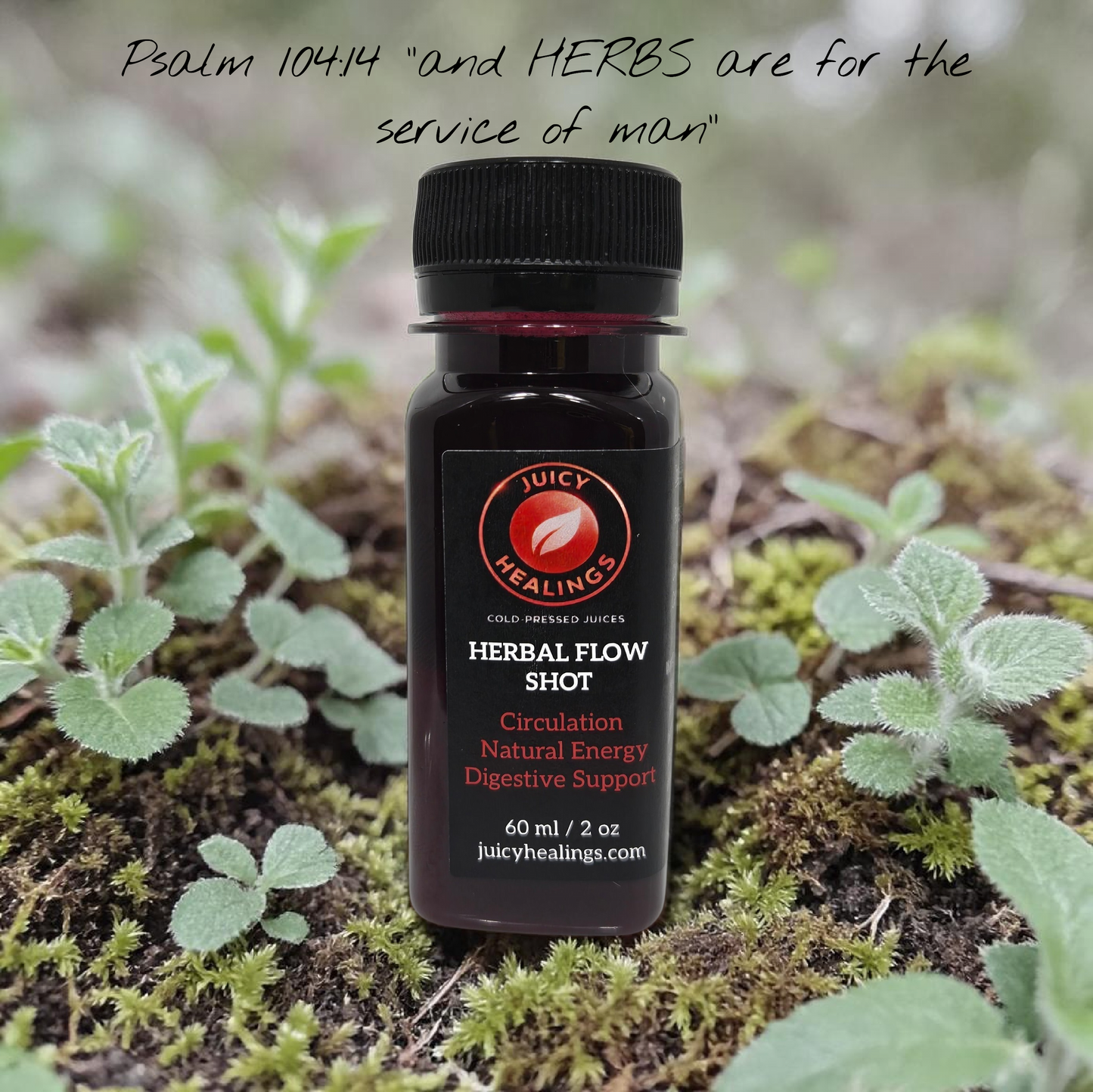 HERBAL FLOW SHOT